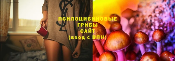 jwh Абаза