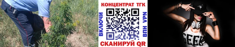 купить   Лебедянь  ТГК Wax 