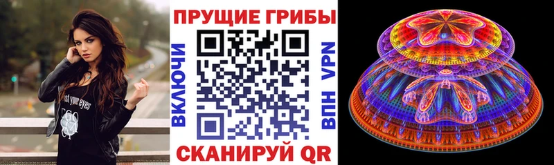 Псилоцибиновые грибы GOLDEN TEACHER  KRAKEN ссылки  Лебедянь 